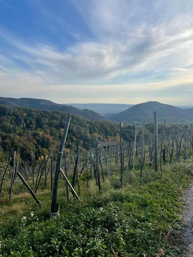Villa Margherita Pieve di Soligo 0*,  Italien